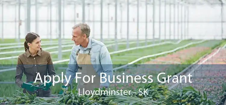 Apply For Business Grant Lloydminster - SK